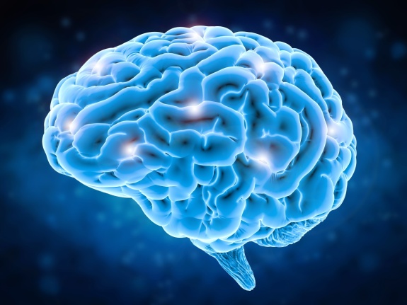 brain image Thumbnail