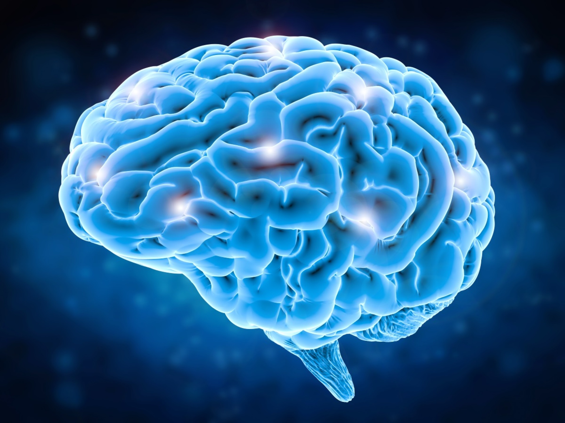 brain image Thumbnail